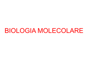 biologia molecolare