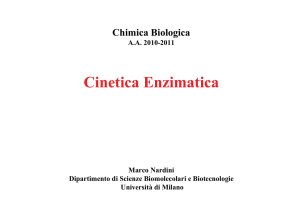 Cinetica enzimatica