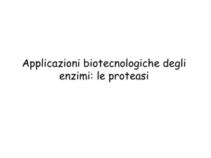 Applicazioni biotecnologiche degli enzimi: le proteasi - e