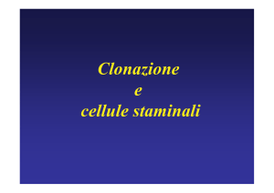 Clonazione e cellule staminali