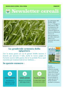 Newsletter cereali - Consorzio Agrario di Ravenna