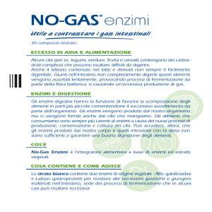 No-Gas ® Enzimi