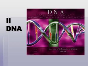 Il DNA - mcquadro