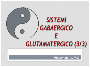 Sistemi GABAergico e Glutamatergico