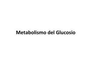 LEZ 08.1 Glicolisi BME ODDI - Progetto e