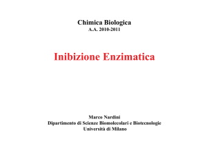 Cinetica enzimatica