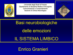 Il sistema limbico
