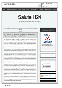 Salute H24