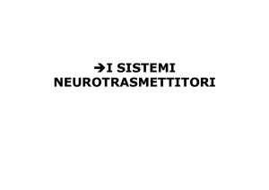 6-neurotrasmettitori I 2010-11 [modalità