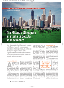 Tra Milano e Singapore si studia la cellula in movimento