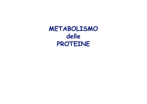 Metabolismo proteine ed aa