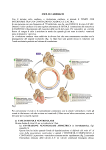 Fisiologia Cardiovascolare 3 File - e