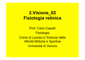 2.Visione_02 Fisiologia retinica