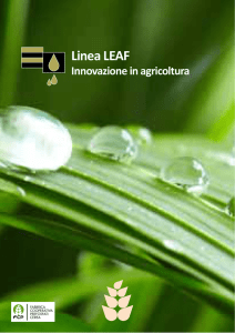 Linea LEAF - FCP Cerea