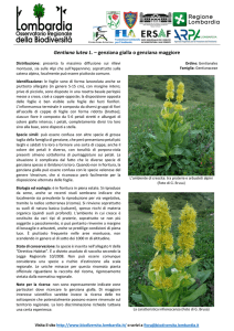Scarica il pdf - Biodiversità in Lombardia