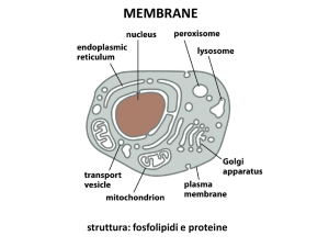lezione 10_membrane2016