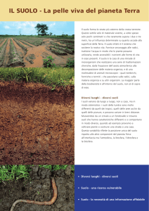IL SUOLO - The International Union of Soil Sciences
