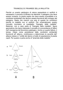triangolo e piramide della malattia