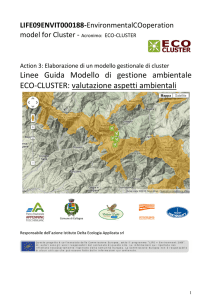 Linee Guida Modello di gestione ambientale ECO-Cluster