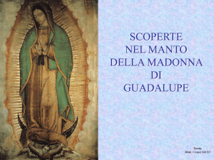 Il manto della Madonna di Guadalupe