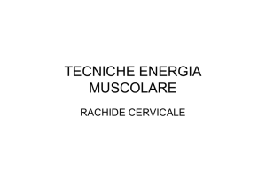 tecniche energia muscolare - Nuova Scuola di Osteopatia
