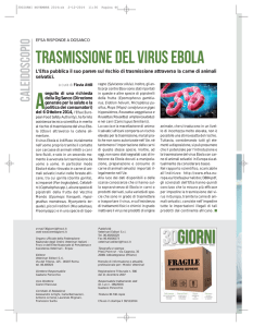 trasmissione del virus Ebola