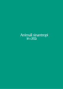 Animali sinantropi - Comune di Venezia