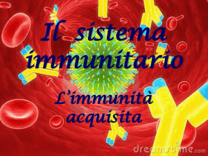 Sistema Immunitario - Liceo Scientifico Fermi (CS)