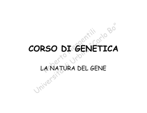 La natura del gene - la genetica a urbino