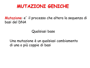 mutazioni geniche - e