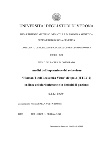 TESI Paola Righi - Università degli Studi di Verona