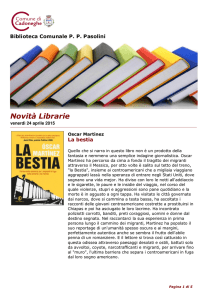 Novit\340 Librarie - Comune di Cadoneghe