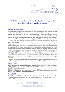 PCA3 (Prostate Cancer Gene 3): il primo test