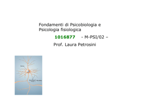 Fondamenti di Psicobiologia e Psicologia fisiologica 1016877
