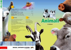 Animali - Lid.ch