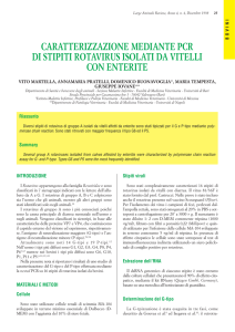caratterizzazione mediante pcr di stipiti rotavirus isolati