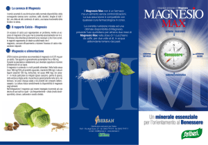 depliants magnesio max