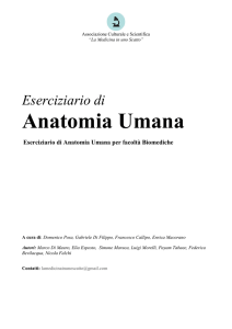Eserciziario di Anatomia Umana