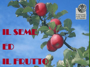 Seme e frutto - dst.unisannio.it