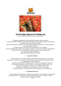 Classificazione botanica del peperoncino