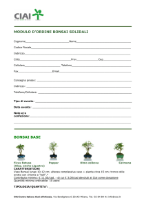 Modulo d`ordine bomboniere bonsai