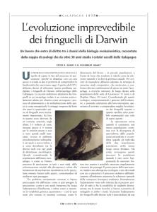 L`evoluzione imprevedibile dei fringuelli di Darwin