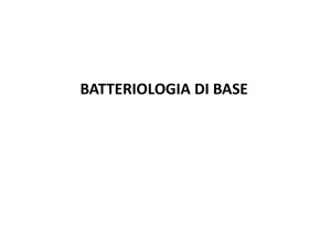Batteriologia base