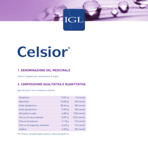 CELSIOR Opuscolo commerciale