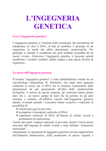 L`INGEGNERIA GENETICA Cos`è l`ingegneria genetica?