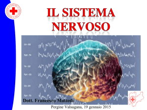 Dott. Francesco Mattedi