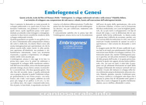 embriomitogenesi - Craniosacrale.it
