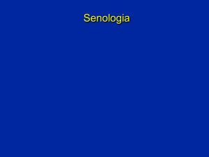 Senologia