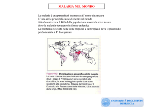 malaria nel mondo