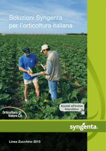 Linea zucchino - Syngenta Italia